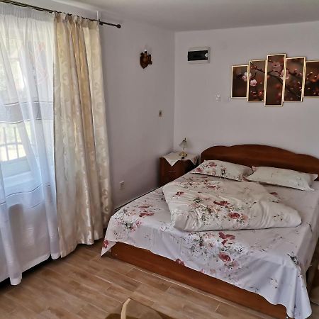 Casa Georgeta Pension Bran  Buitenkant foto
