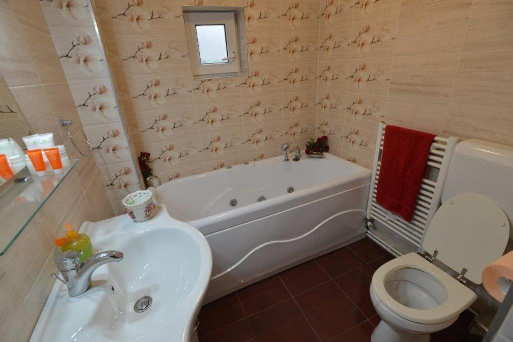 Casa Georgeta Pension Bran  Buitenkant foto