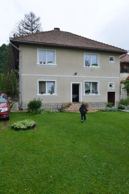 Casa Georgeta Pension Bran  Buitenkant foto
