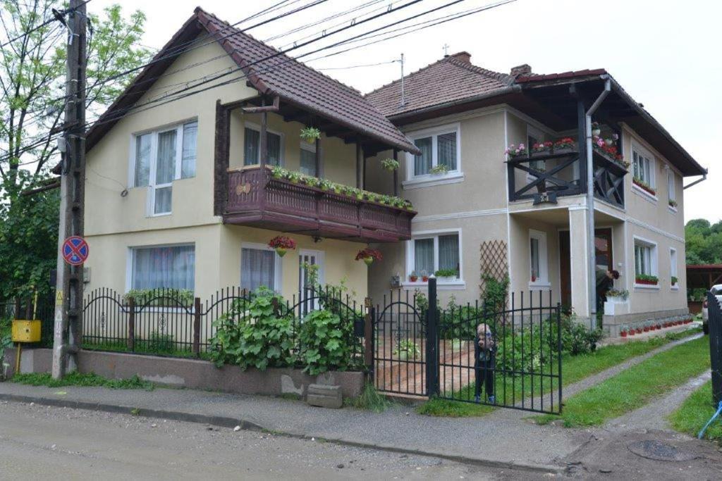 Casa Georgeta Pension Bran  Buitenkant foto