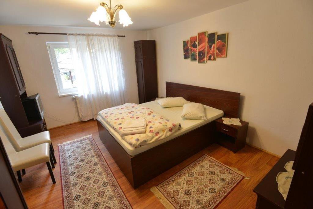 Casa Georgeta Pension Bran  Buitenkant foto