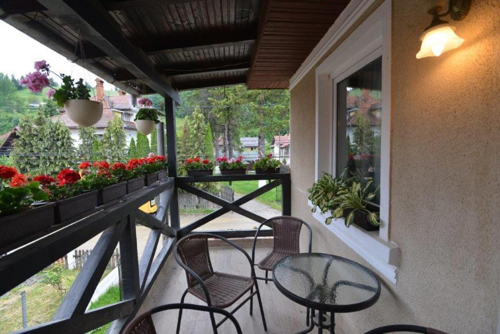 Casa Georgeta Pension Bran  Buitenkant foto