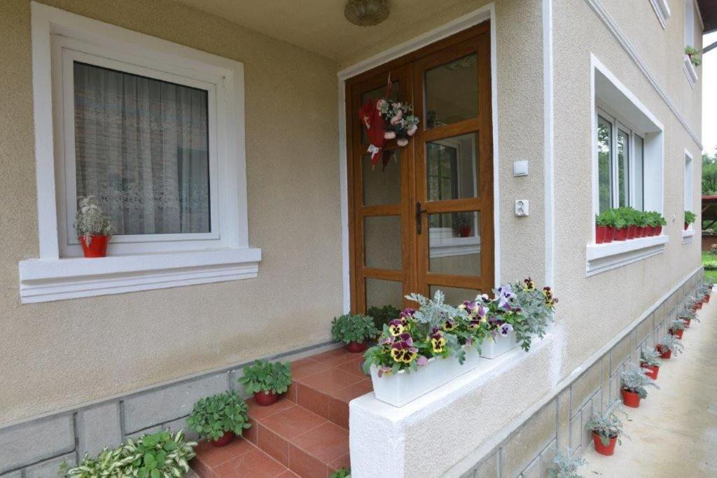Casa Georgeta Pension Bran  Buitenkant foto