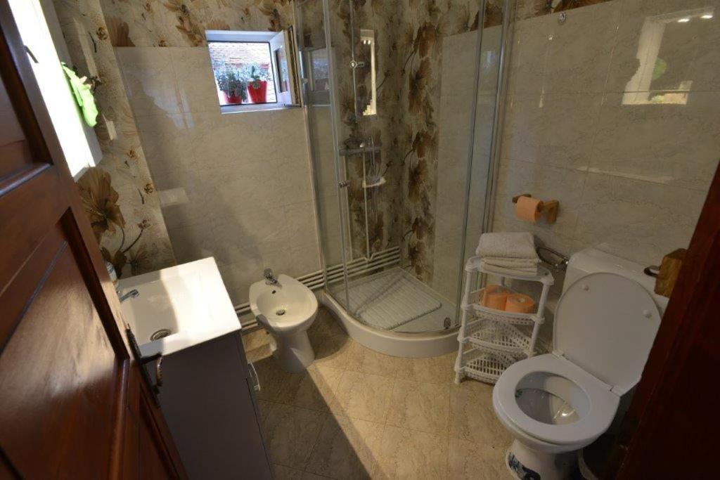 Casa Georgeta Pension Bran  Buitenkant foto
