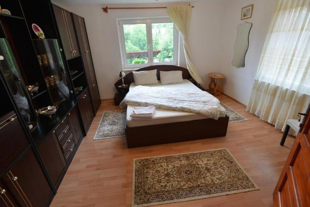 Casa Georgeta Pension Bran  Buitenkant foto