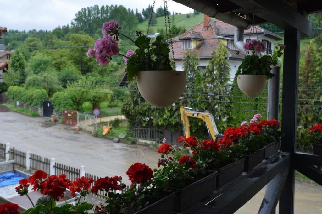 Casa Georgeta Pension Bran  Buitenkant foto
