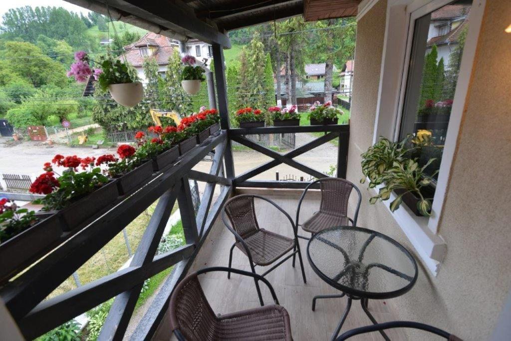 Casa Georgeta Pension Bran  Buitenkant foto