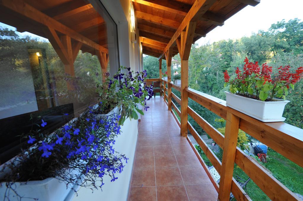 Casa Georgeta Pension Bran  Buitenkant foto