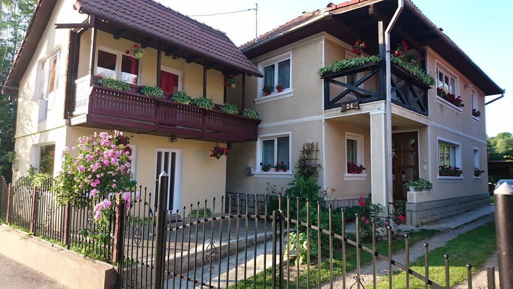Casa Georgeta Pension Bran  Buitenkant foto